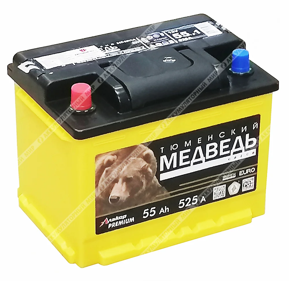 Аккумулятор Тюменский Медведь 55 Ач п.п. Фото 1